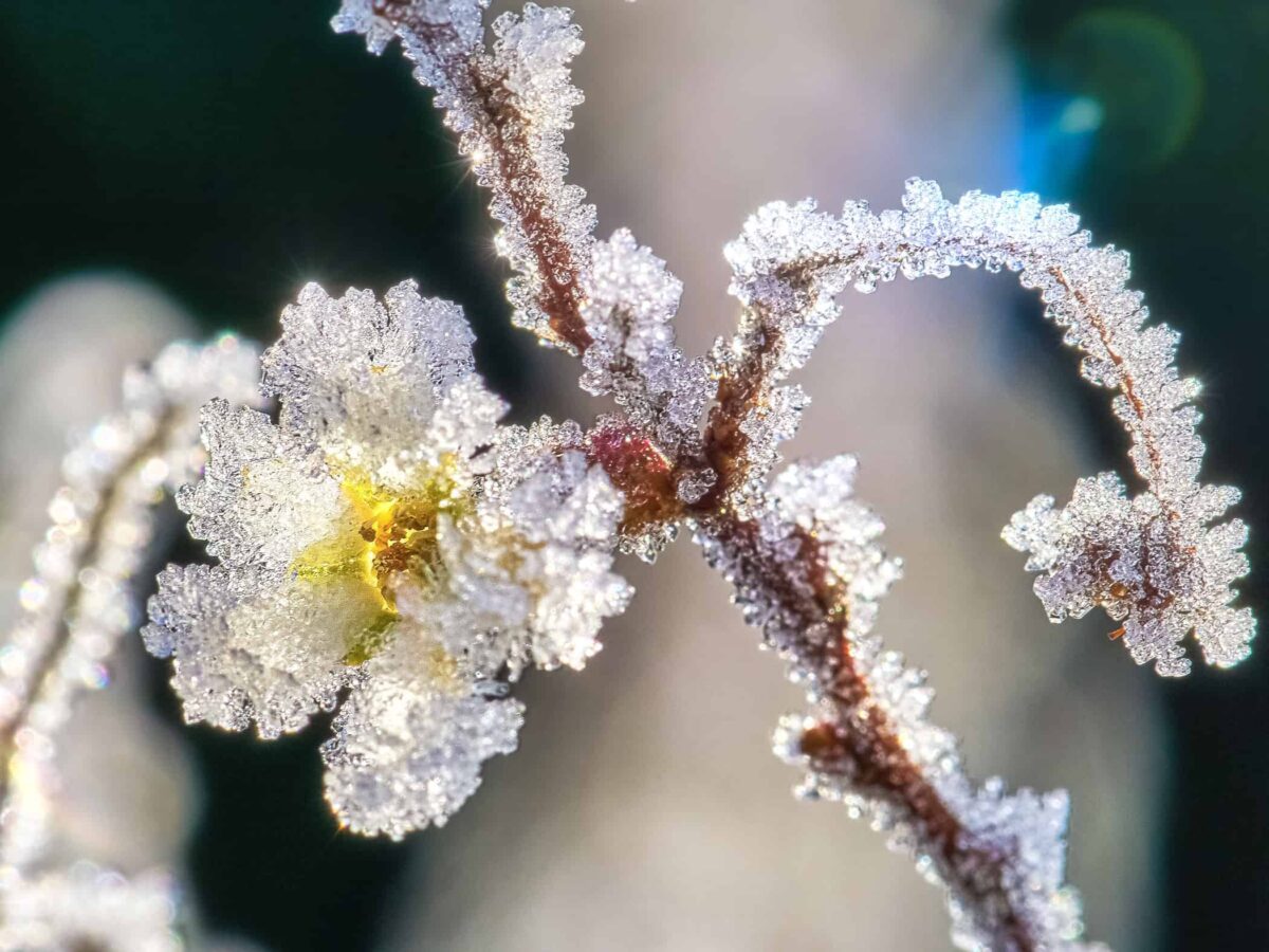 Styczeń. Co się u nas działo.